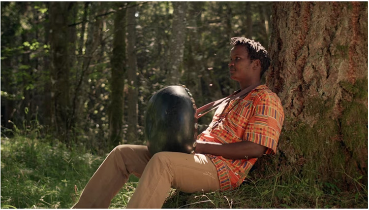 In Canadian documentary ‘Mbira Talks’, a Zimbabwean musical instrument connects two worlds