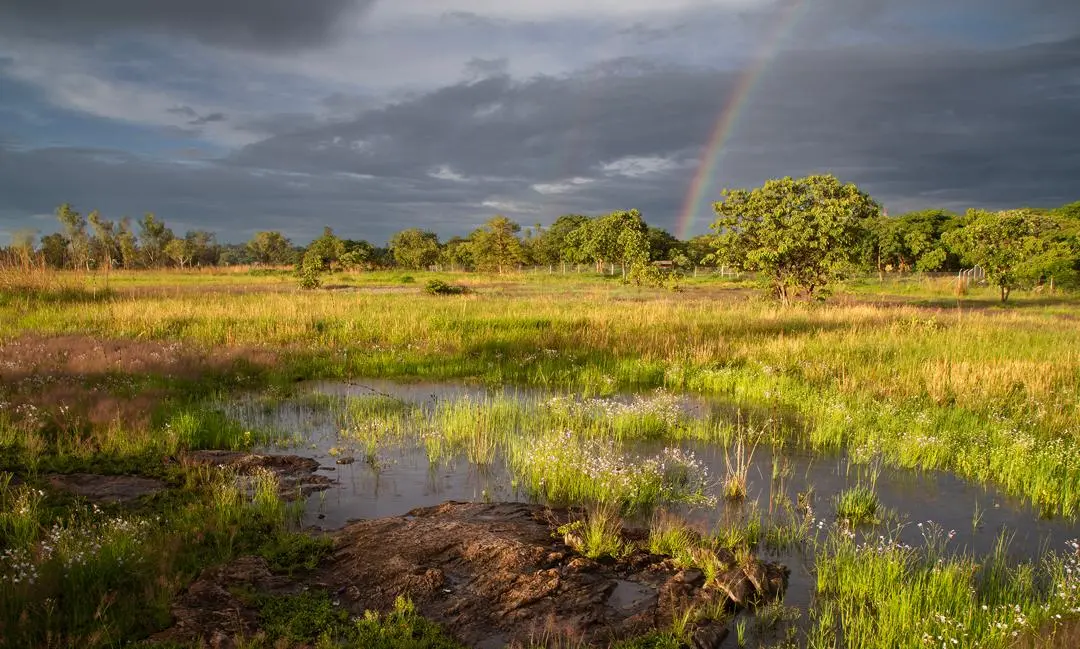 Activists confront EMA over Monavale Vlei destruction