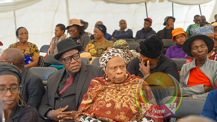 Malicious and shameful – Biti slams Zanu PF for snubbing Geza’s funeral