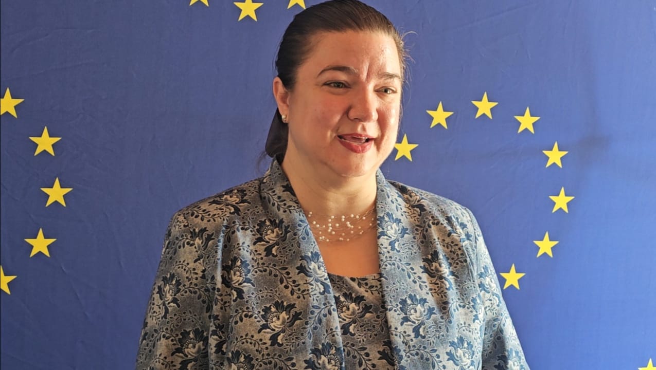 EU pushes arrears clearance, debt reform and wider trade footprint in Zimbabwe