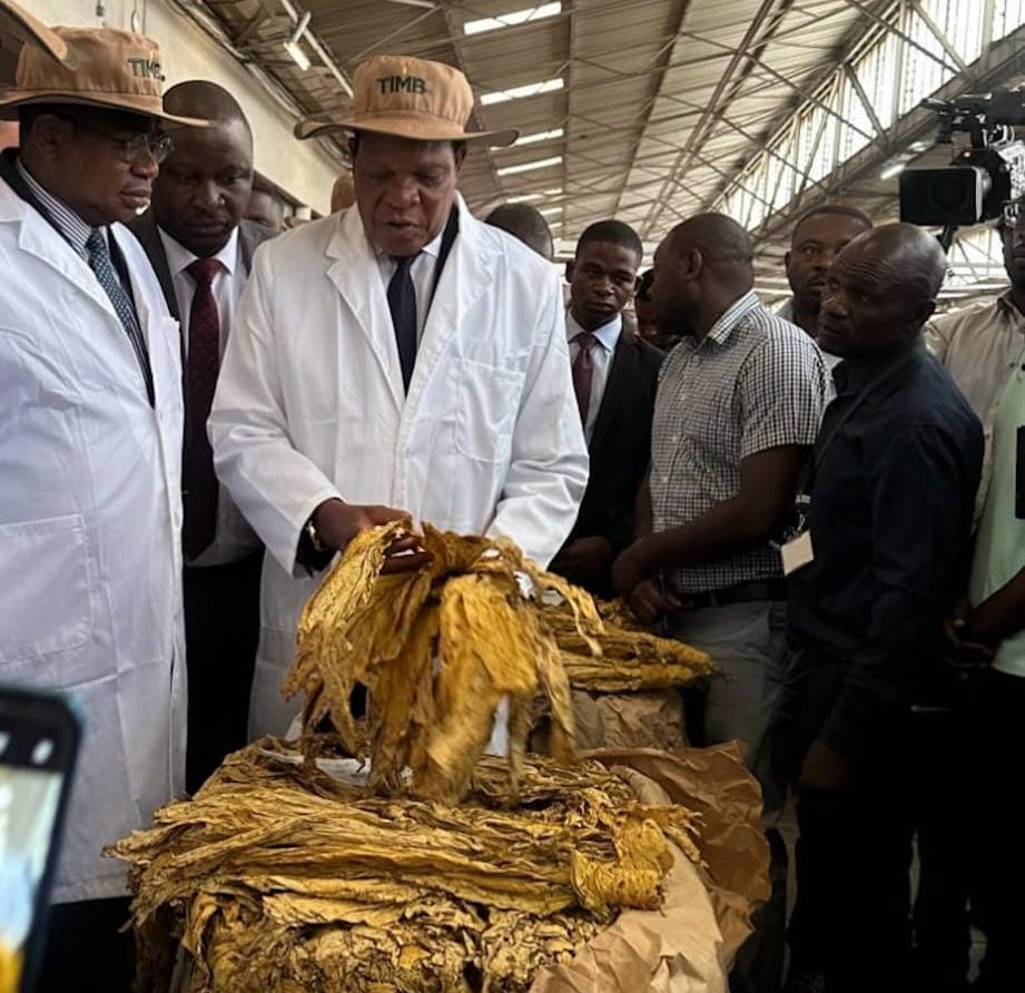 Tobacco selling season kicks off with first bale fetching US$4,60 per kg