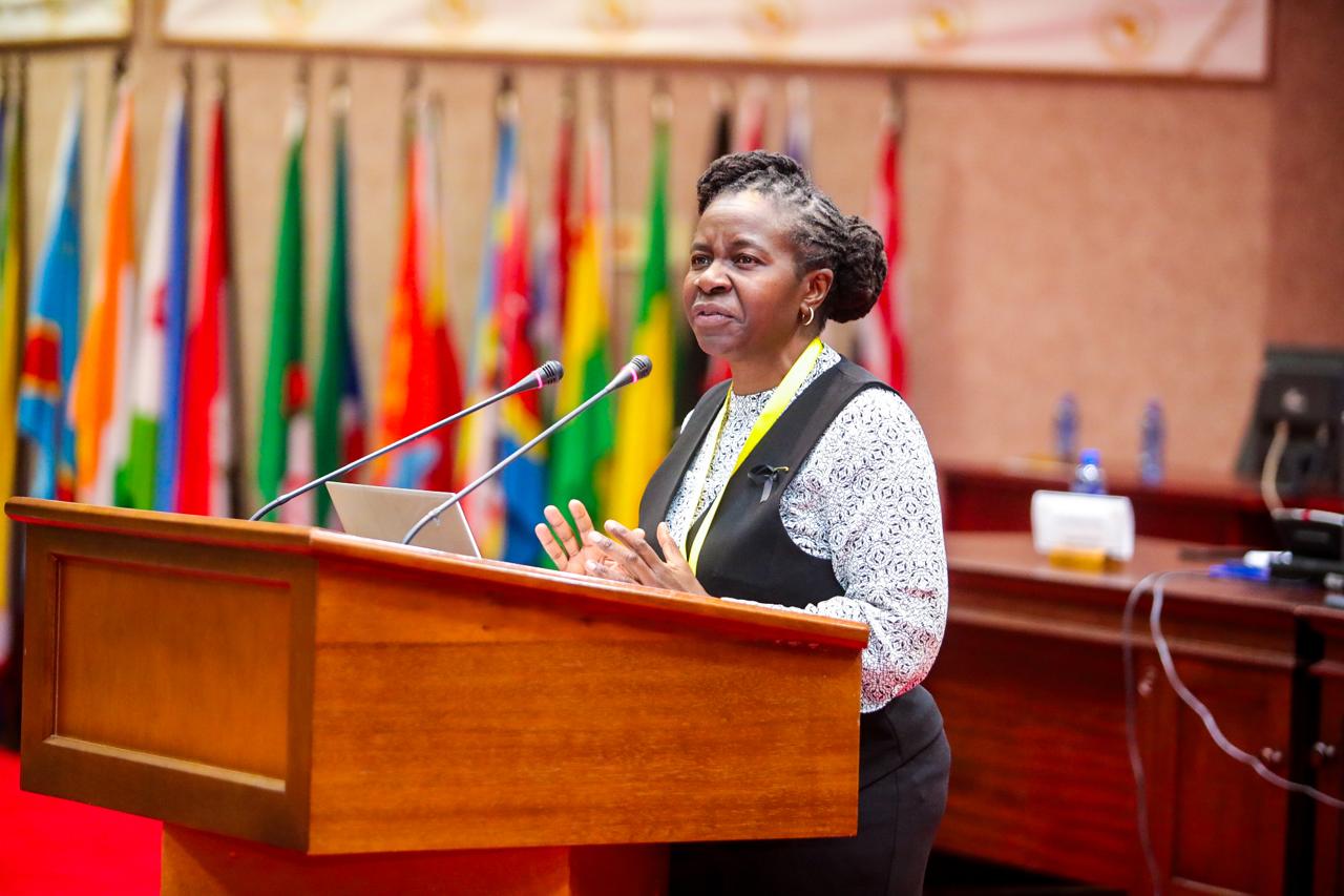 Mnangagwa dragged to court over Majome’s removal from ZHRC