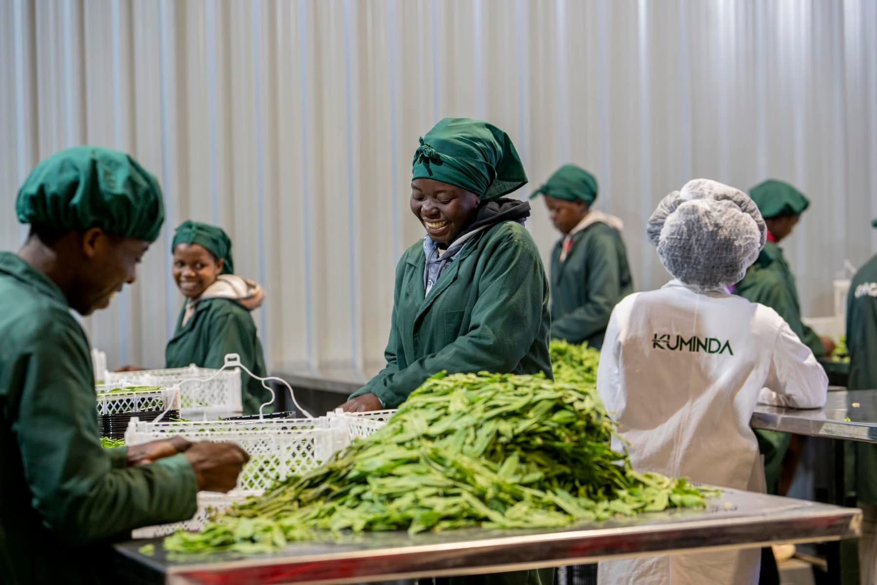 Freight costs threaten Zimbabwe farmers’ livelihoods as Iran war disrupts exports