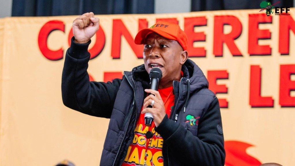 Afrophobia will not solve South Africa’s jobs crisis, warns Malema