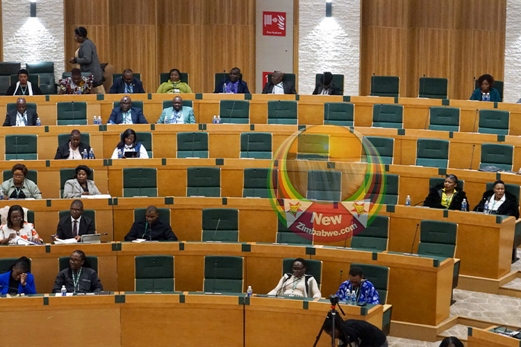 Mnangagwa summons extraordinary Parliament sitting to consider Senate changes to CAB3