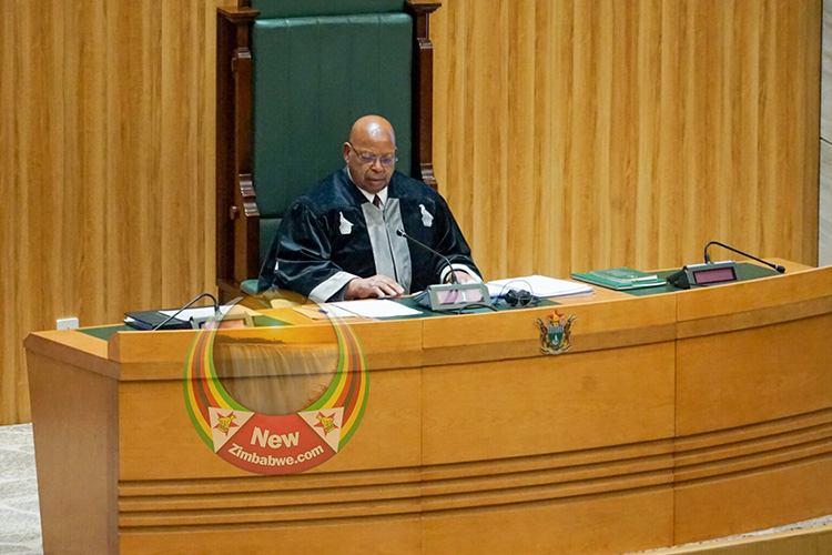 Constitution Amendment Bill 3 passes National Assembly as 216 MPs vote in favour, 42 against