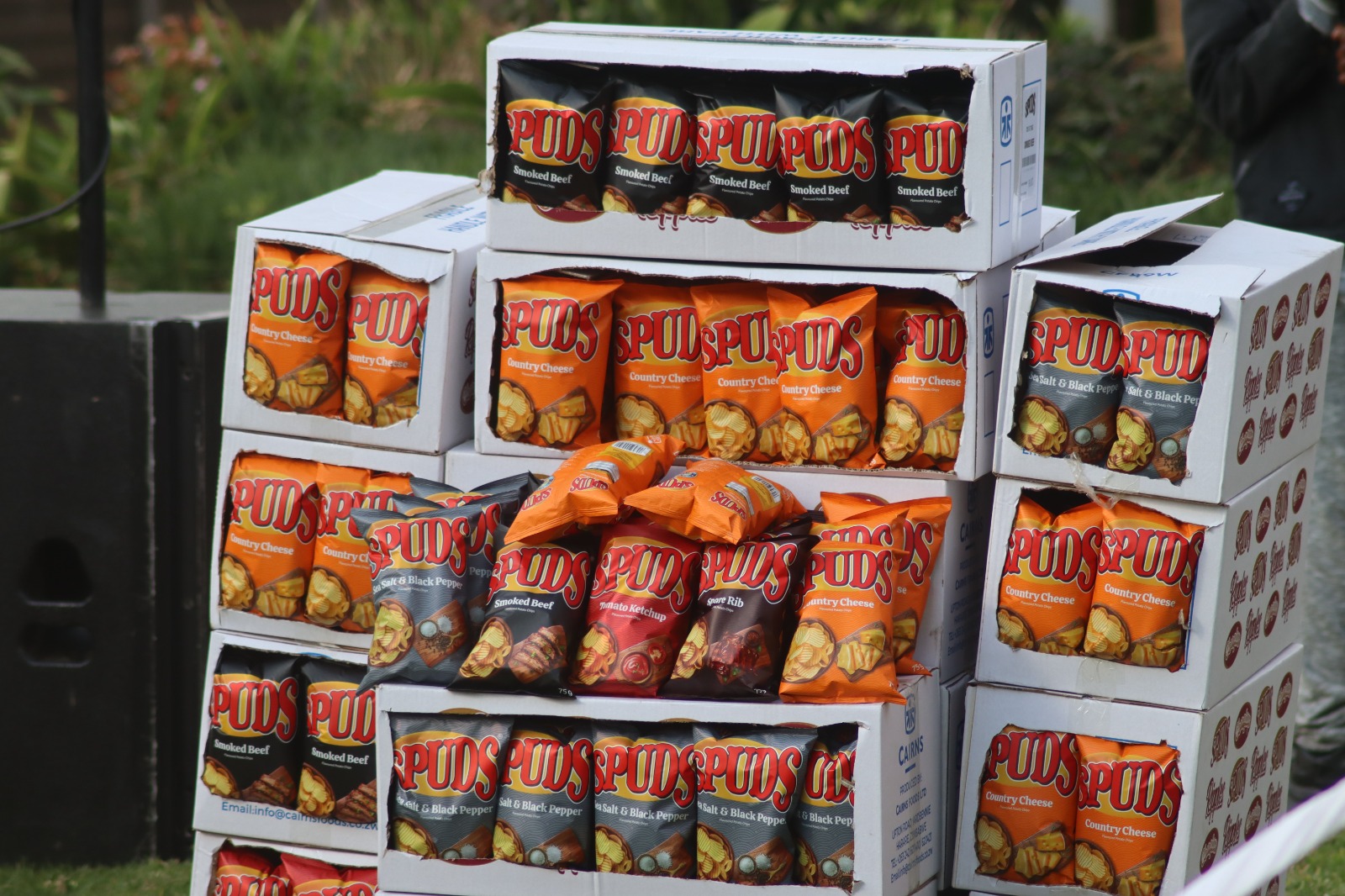 Cairns rebrands popular Spuds potato crisps through flavour-led campaign - NewZimbabwe