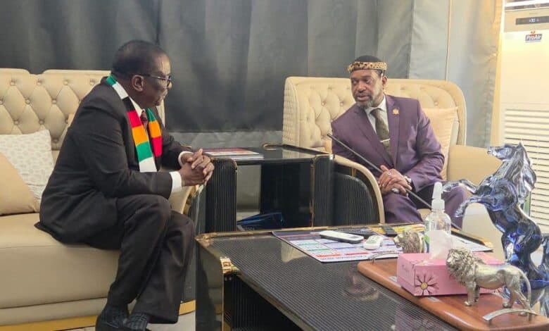 Shared history no excuse to break SA immigration laws – Zulu king tells Mnangagwa