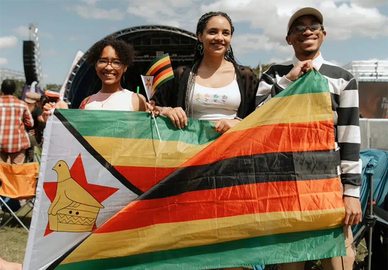 ZimFest 2026: Diaspora Insurance brings celebrity meet-and-greets, giveaways and cash prizes - NewZimbabwe