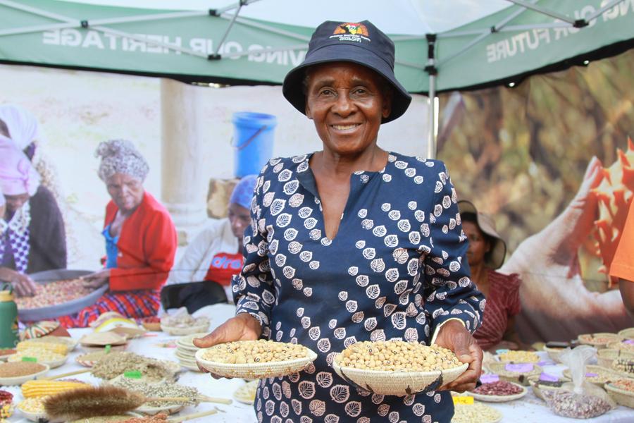 Zimbabwean farmers adopt drought-tolerant crops for resilience
