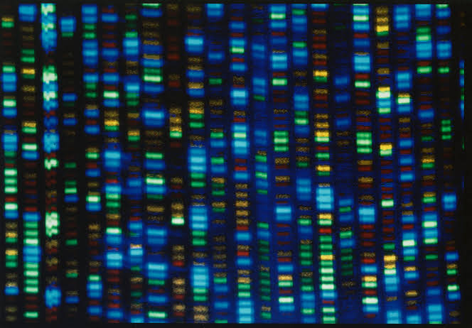 African genomics research is growing: what countries are doing to connect genetic data and healthcare