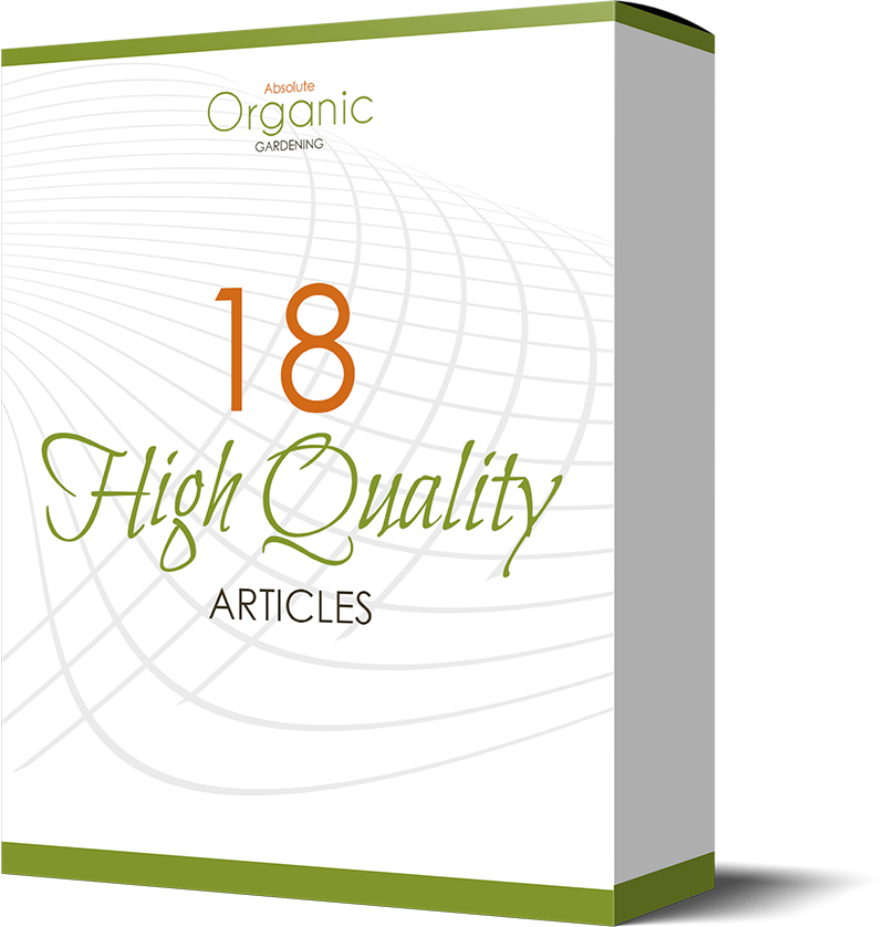 ARTICLES