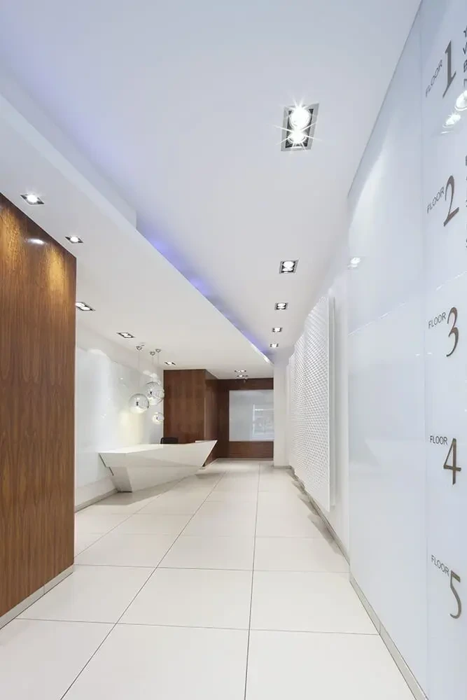 227 Ingram Street - Stelmain