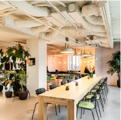 SQ Stephanie, 54 - Silversquare