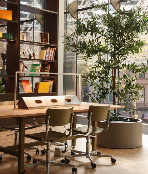 55 Collins Street - The Commons