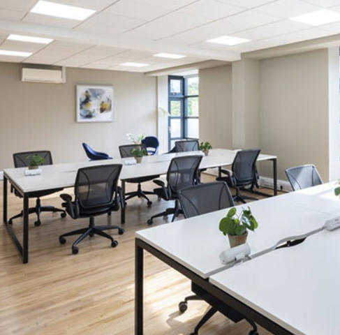 535 King's Road - Nammu Workplace