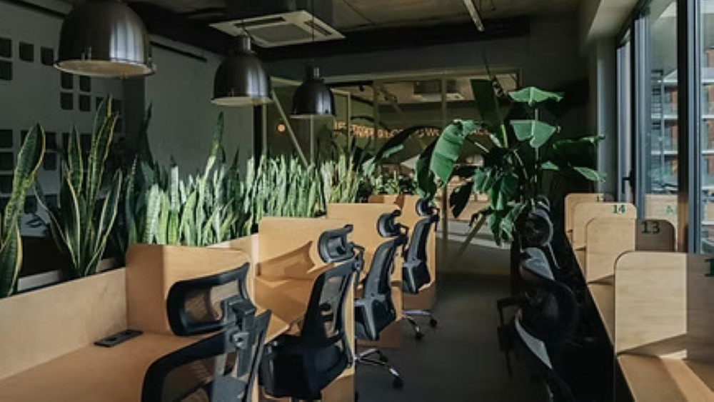 17A - Digital Jungle