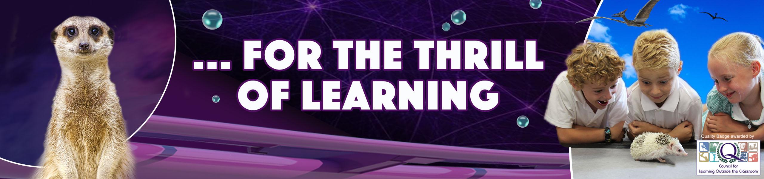 Workshops Banner