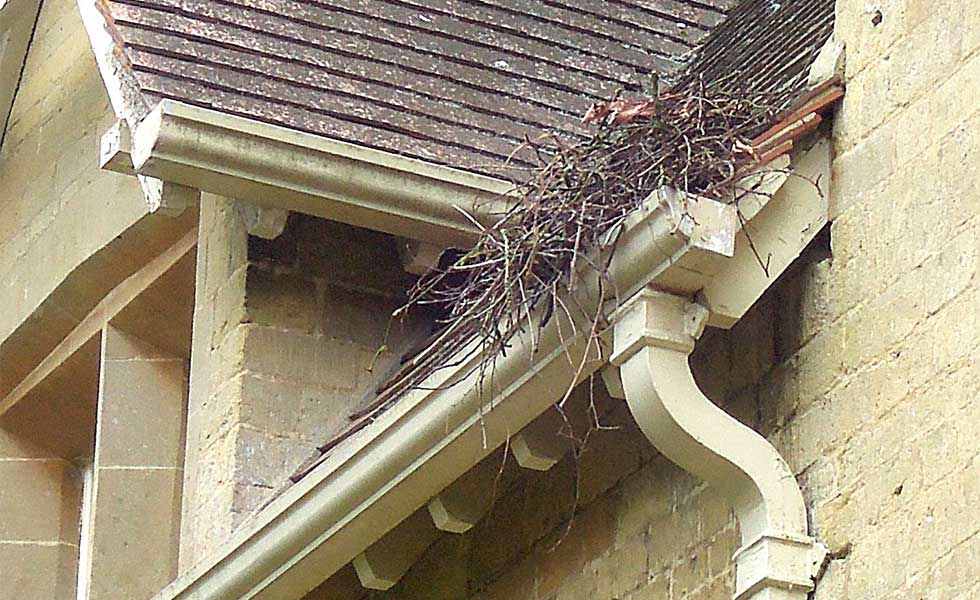 blockage in guttering system