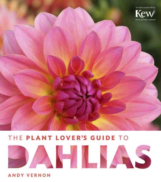 dahlia-book-cover-1002x1127