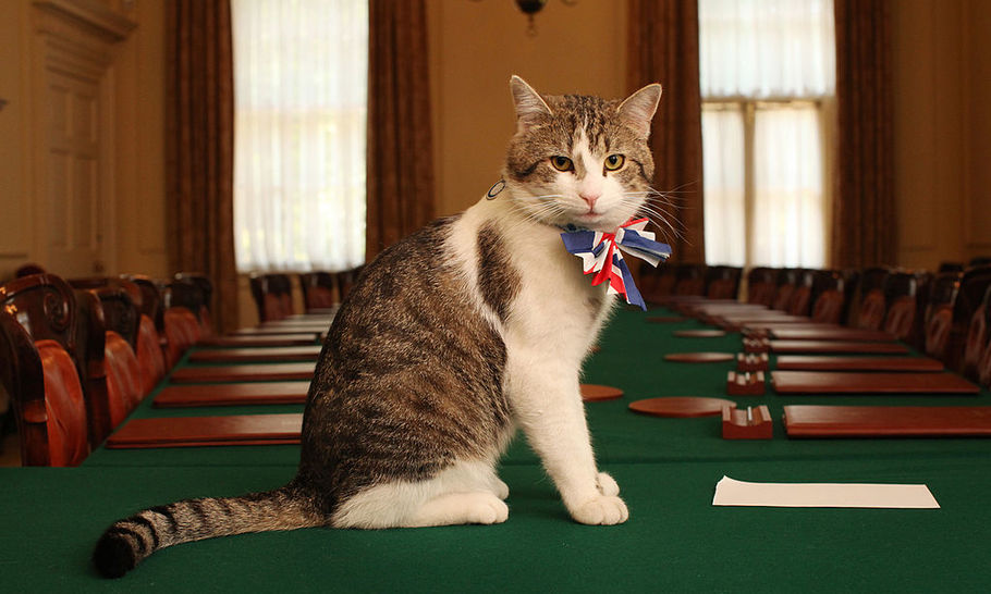 10 things you didn't know about the new cabinet