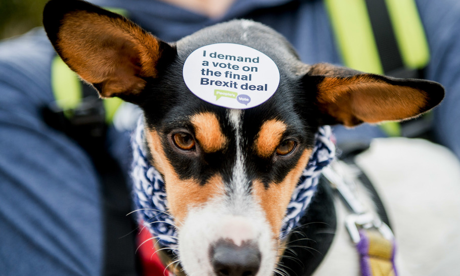 What happens to the People's Vote brigade now?