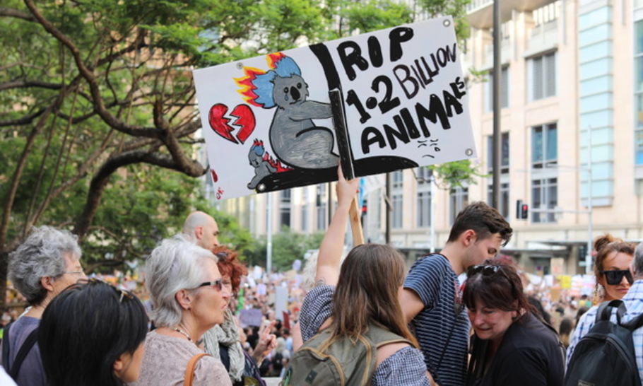 The dangers of climate denial