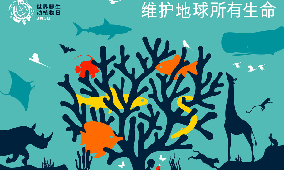 World Wildlife Day — animal welfare is a global issue