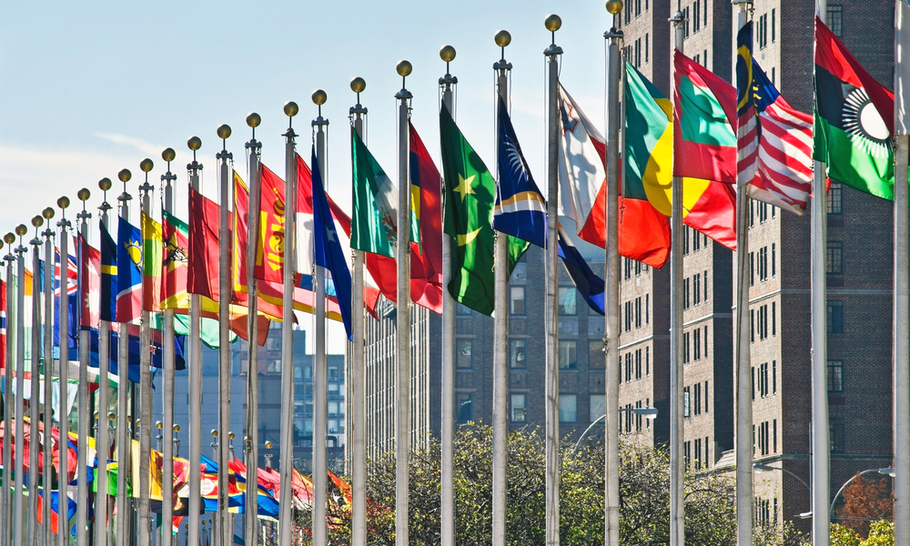 Why is there no global response to Covid-19?