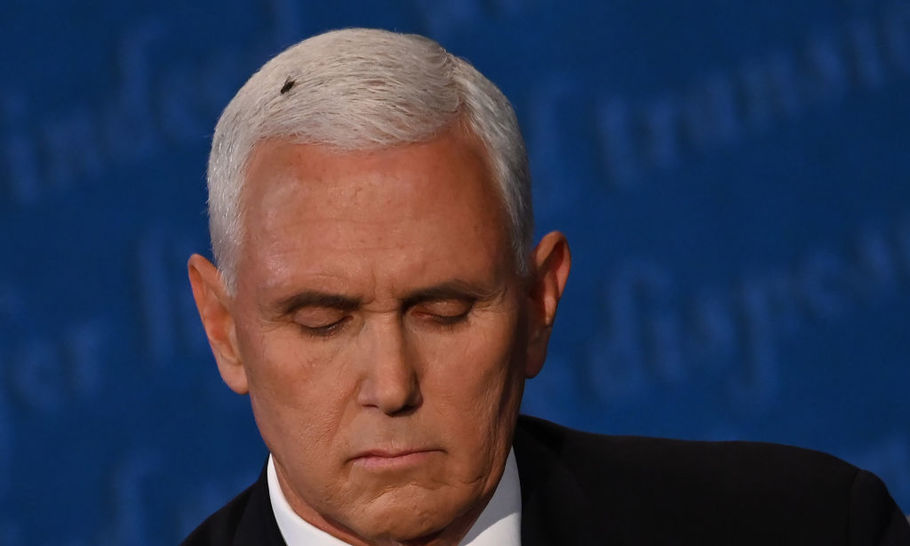 Poor Pence: the real fly in the Republicans’ ointment is their own President