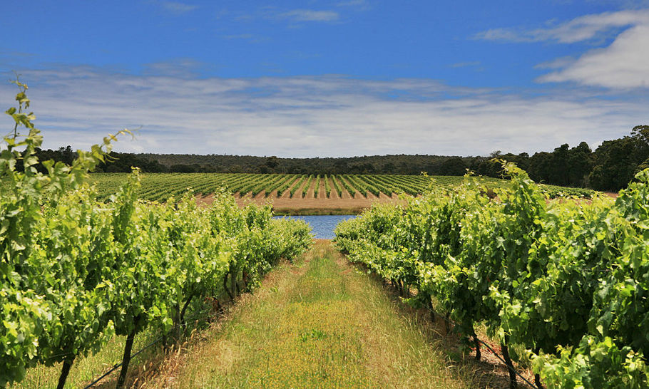A wine tour of Western Australia