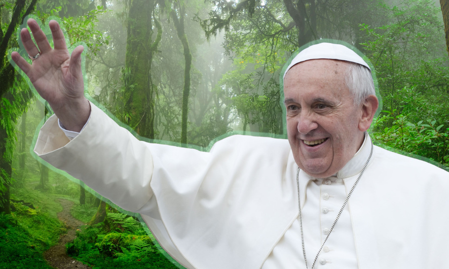 The green Pope: Francis and the ethic of responsibility