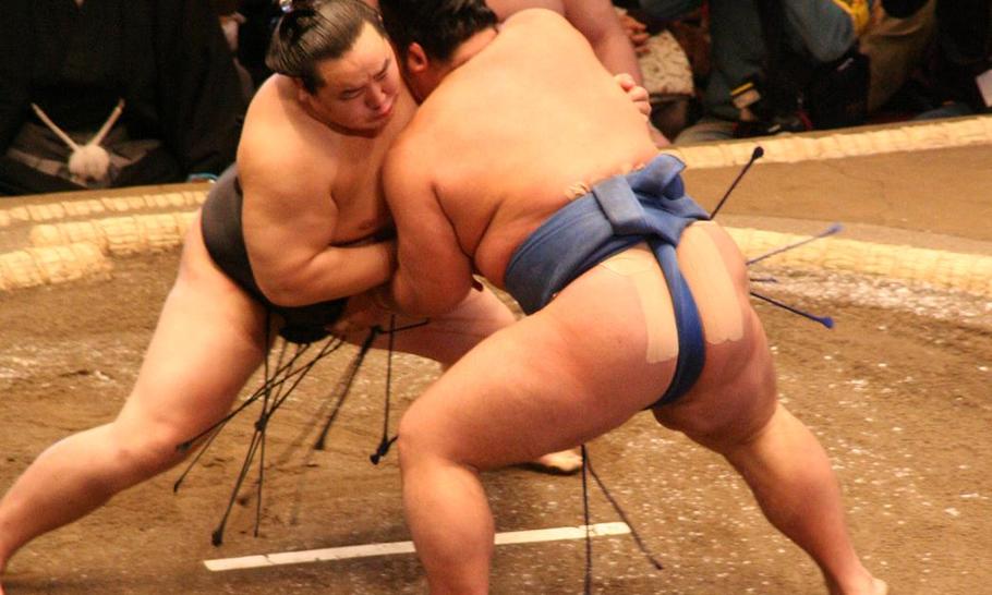 Sumo cum Laude: chess and wrestling
