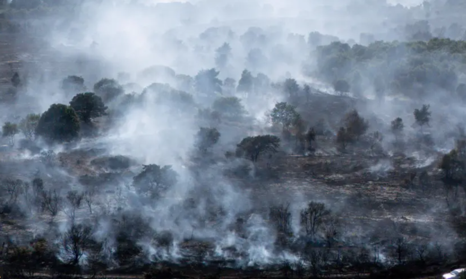 Wildfires: a threat to national security