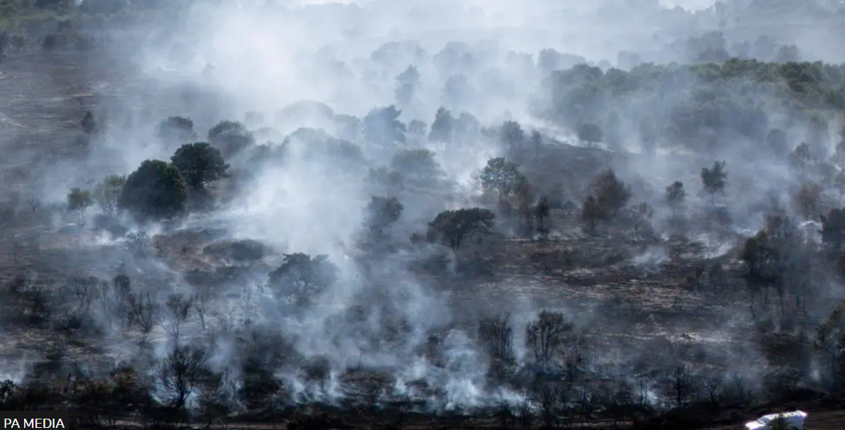 Wildfires: a threat to national security