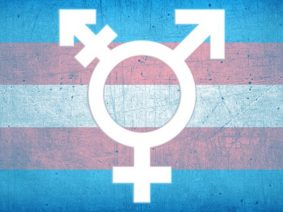 Engendered Debates