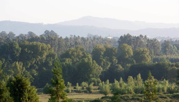 361 Jffc050389 2000x1333.jpg