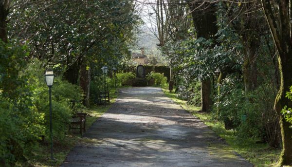 179 Jffb096547 2000x1333.jpg