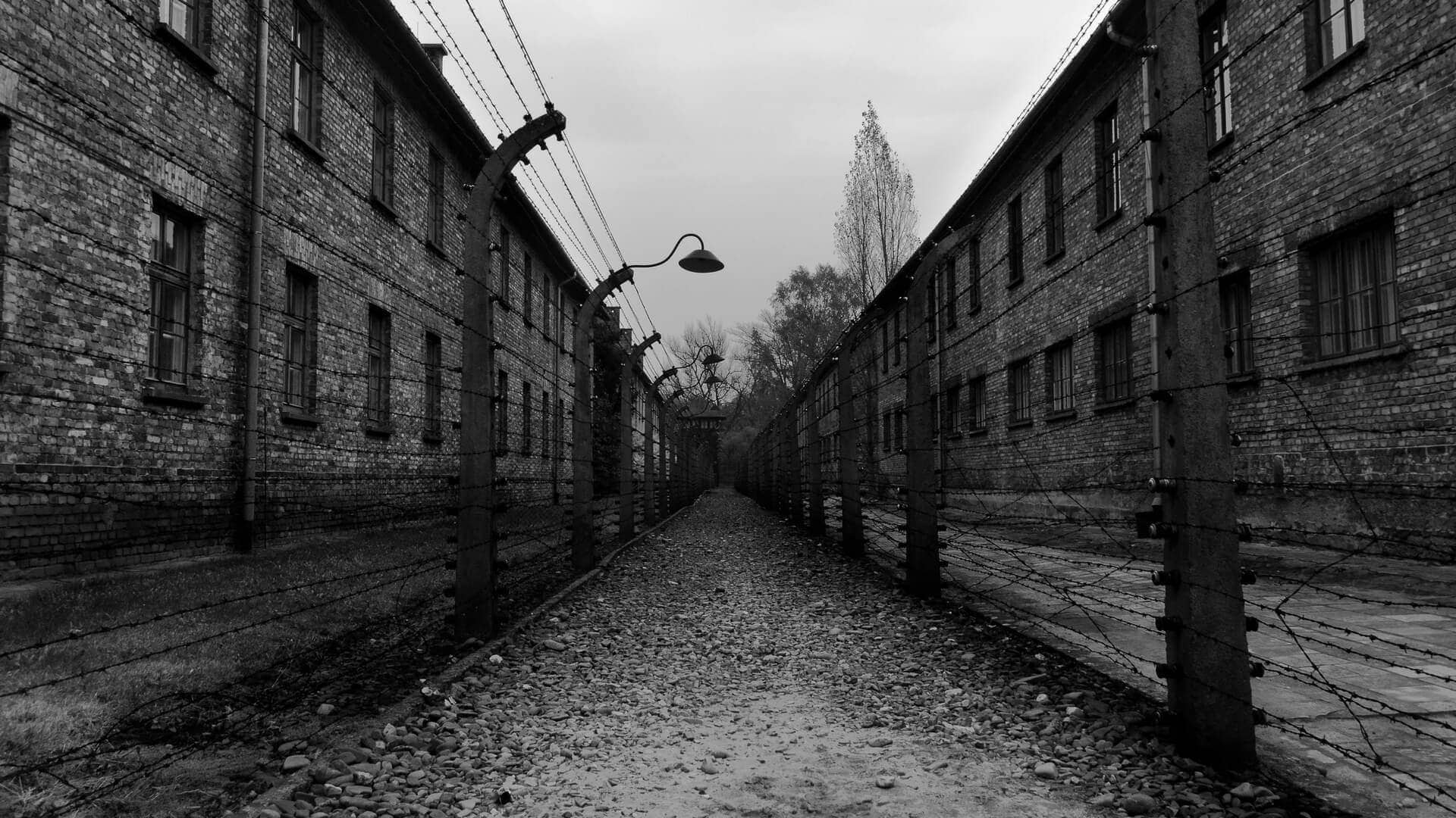 Auschwitz%2C%20Pol%C3%B3nia%20-%20Clementa%20Moreno%2FShutterstock