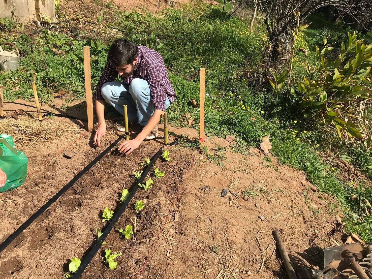 Grupo%20dos%20Atravessados%20esteve%20a%20plantar%20na%20horta%20da%20Casa%20Velha.%20V%C3%AAm%20cuidar%20da%20quinta%2C%20rezar%20e%20conviver%2C%20um%20fim%20de%20semana%20por%20m%C3%AAs.