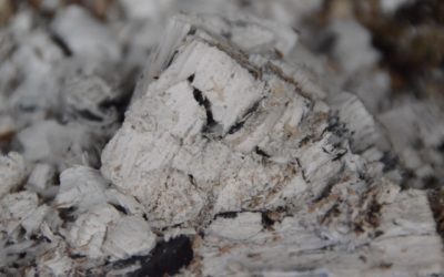 DAQ: Dia de Arranque da Quaresma – Um dia como os outros, só que diferente