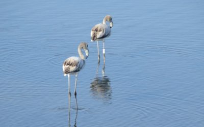 Saída de Campo – Encontrar a Deus através da Sua Criação