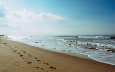 Férias no Rodízio