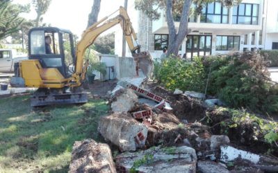 Renovação Jardim