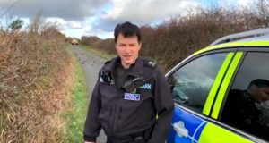 Hundreds of dead birds mysteriously fall from the sky in North Wales
