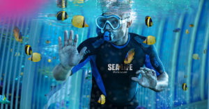 You’ll be able to swim with sharks at the Trafford Centre soon