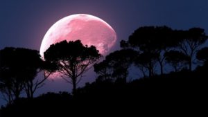 A super pink moon is going to brighten up the sky over the UK tonight