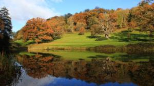 National Trust is reopening some parks and gardens from June 3rd