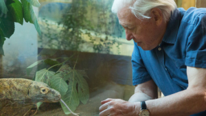 Sir David Attenborough is raising £12 million to save London Zoo from ‘extinction’