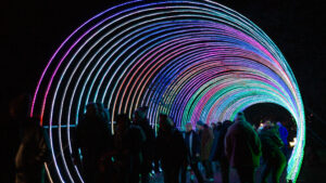 You can still get 20% off Lightopia tickets for this winter